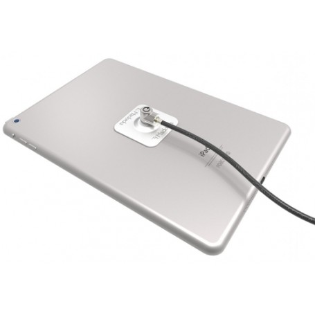Compulocks Universal Tablet Lock cavo di sicurezza Acciaio inossidabile (CL15UTL)