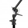 Walimex 17015 treppiede Universale 3 gamba/gambe Nero (17015)