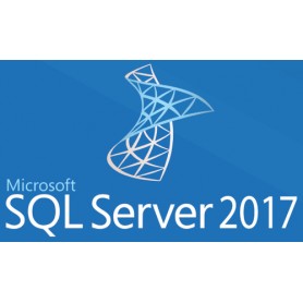 Microsoft SQL Server 2017 Standard 1 licenza/e (228-11135)