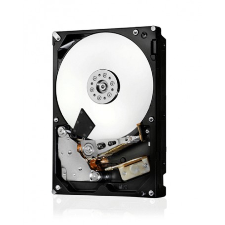 HGST Ultrastar 2TB 3.5" 2048 GB SATA (0B36402)