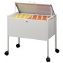 Durable 309810 scatola per la conservazione di documenti Acciaio Grigio (309810)
