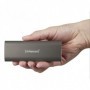Intenso externe SSD Professional Festplatte 1 TB Braun-Metallic - Solid State Disk - 1,8" 1000 GB Marrone (3825460)