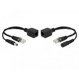 DeLOCK 66024 adattatore PoE e iniettore Fast Ethernet (66024)