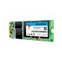 ADATA ASU800NS38-256GT-C drives allo stato solido M.2 256 GB Serial ATA III TLC (ASU800NS38-256GT-C)