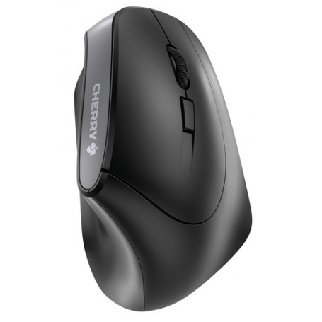 CHERRY MW 4500 mouse Mano destra RF Wireless Ottico 1200 DPI (JW-4500)