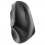 CHERRY MW 4500 mouse Mano destra RF Wireless Ottico 1200 DPI (JW-4500)