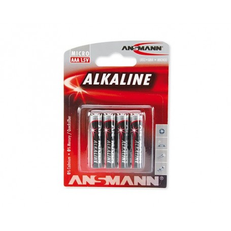 Ansmann 5015553 batteria per uso domestico Batteria monouso Alcalino (5015553)