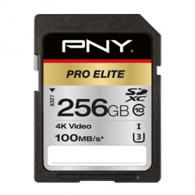 PNY PRO Elite memoria flash 256 GB SDXC UHS-I Classe 10 (P-SD256U3100PRO-GE)