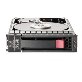 Hewlett Packard Enterprise 750GB non-hot plug Serial ATA (SATA) 3Gbps hard drive 3.5" (462618-001)