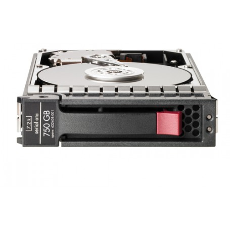 Hewlett Packard Enterprise 750GB non-hot plug Serial ATA (SATA) 3Gbps hard drive 3.5" (462618-001)