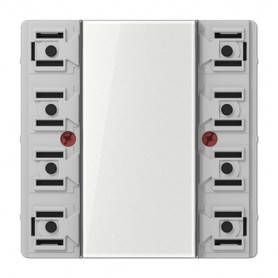 JUNG LS 5072 TSM interruttore elettrico (LS5072TSM)