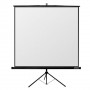 Reflecta CrystalLine Tripod schermo per proiettore 1:1 (87651)