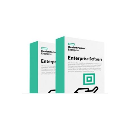 Hewlett Packard Enterprise StoreEver MSL3040 Data Verification for 100 Cartridges E-LTU Base 1 licenza/e Licenza (Q8K43AAE)