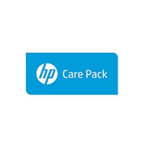Hewlett Packard Enterprise 1y PW CTR DMR SV 4130 600G SAS FC (U4XL8PE)