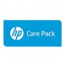 Hewlett Packard Enterprise 1y PW CTR DMR SV 4130 600G SAS FC (U4XL8PE)